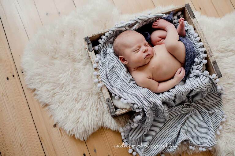 photographe naissance wambrechies 