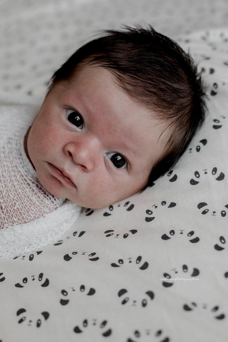 séance photo naissance roubaix