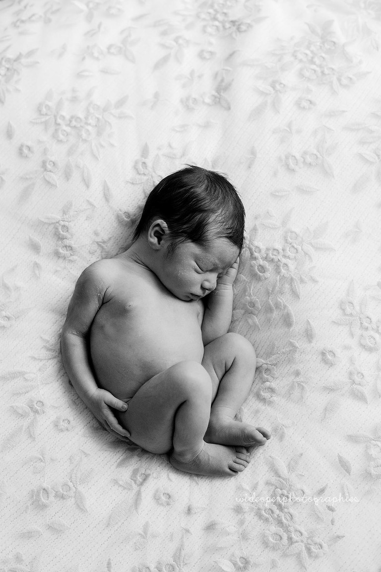 photographe naissance Croix, proche roubaix